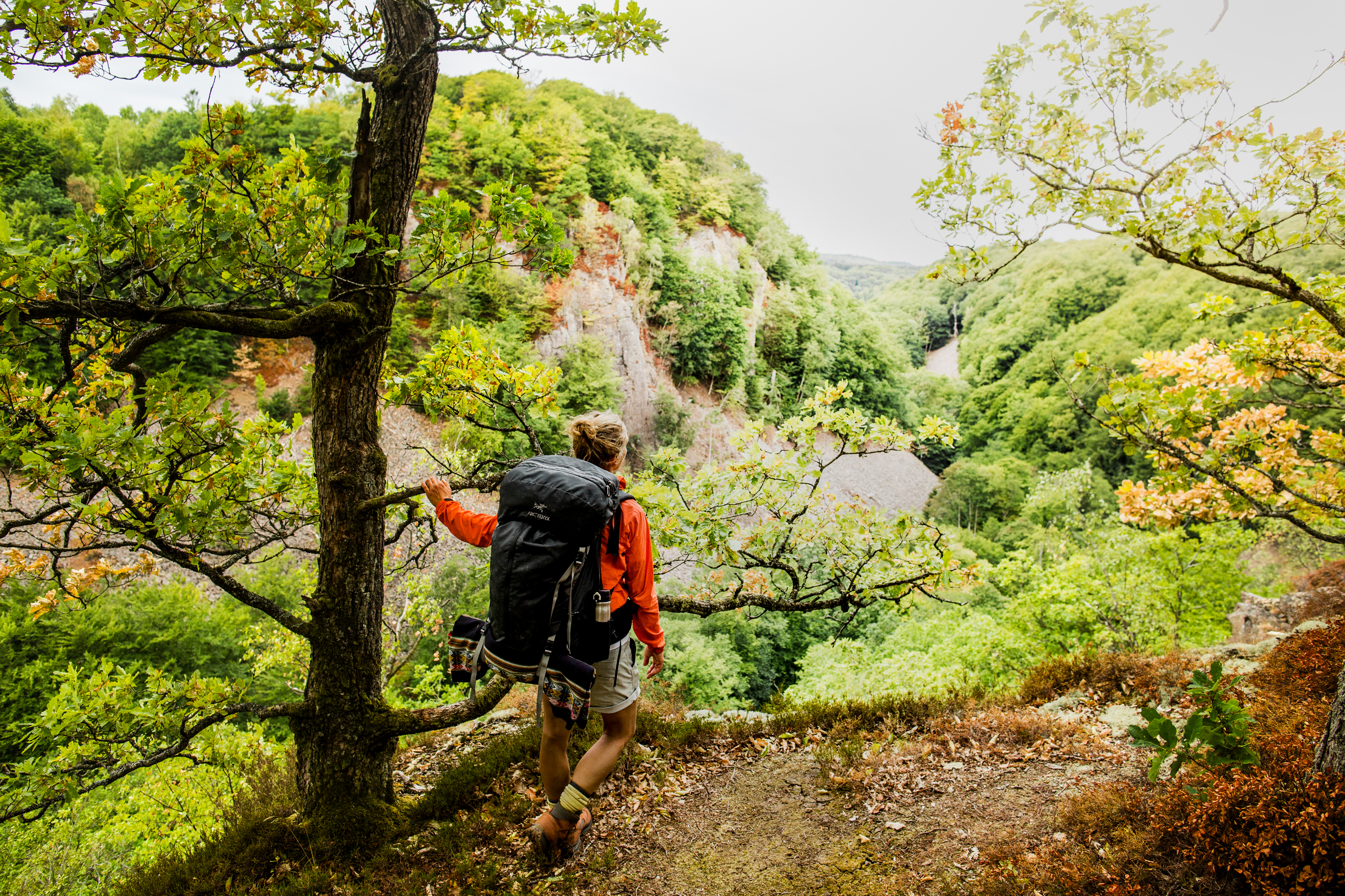 Ein Wanderer blickt auf eine Schlucht im Wald im Naturschutzgebiet Söderåsen