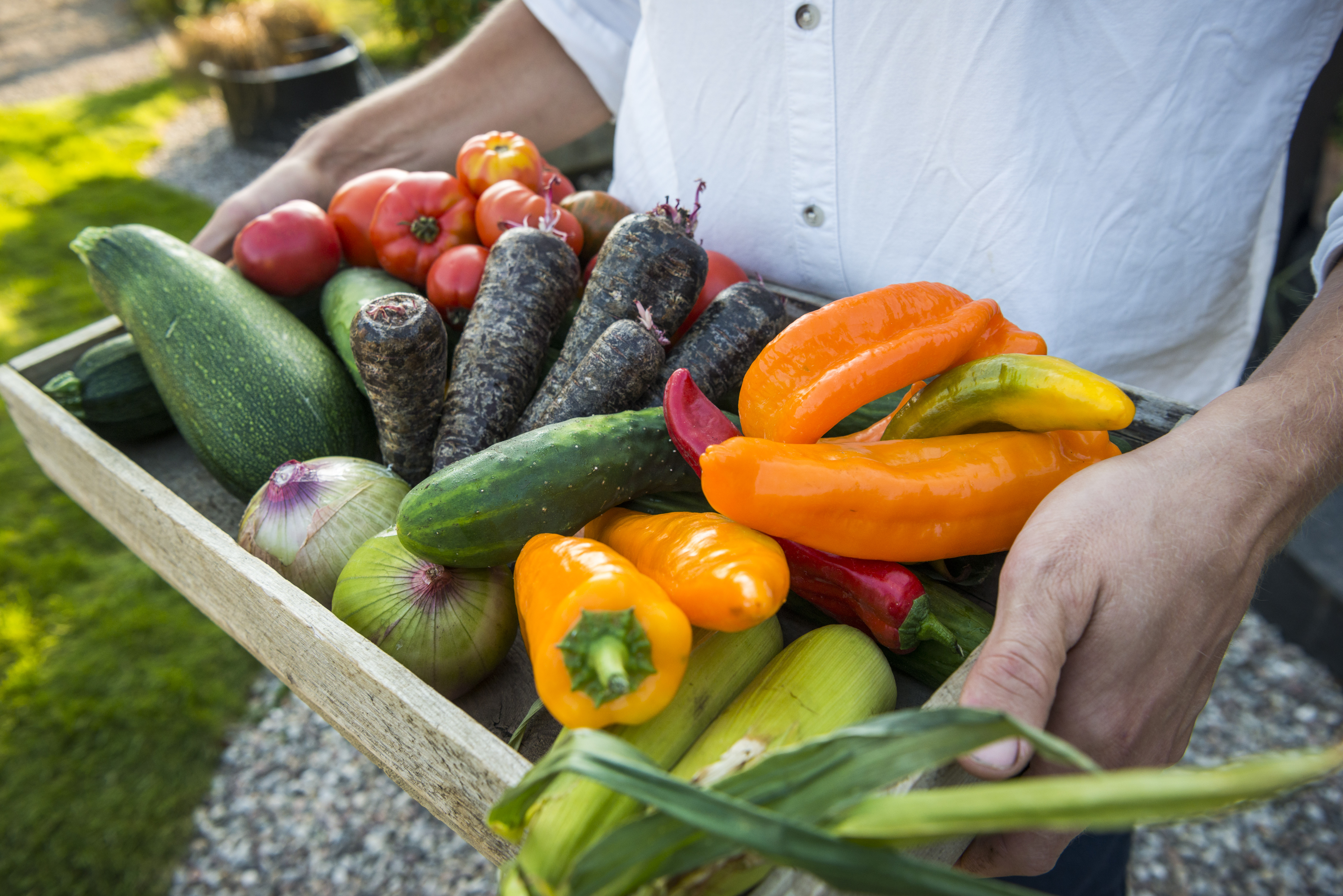 A tray with a mix of various vegetables 