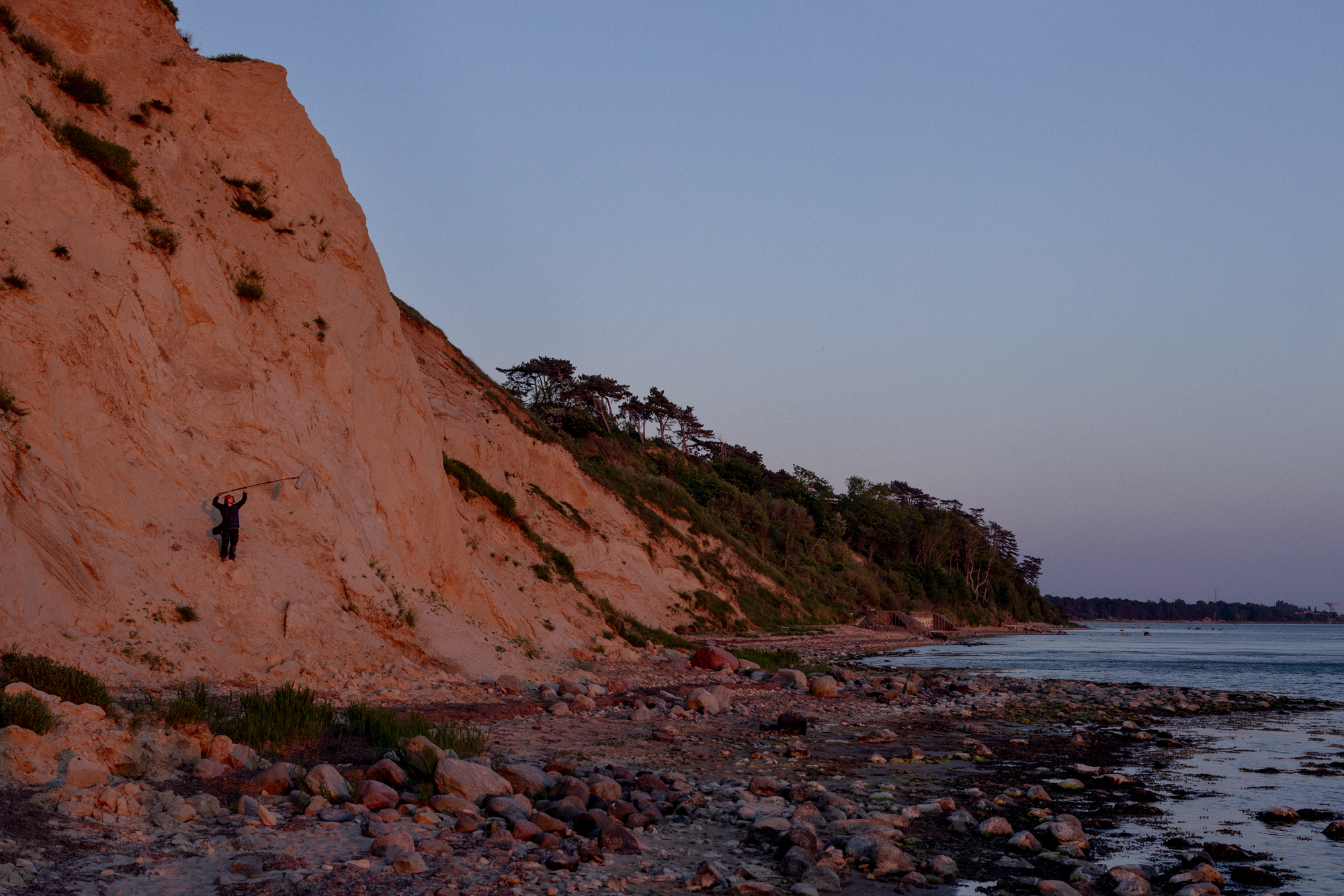 View over shore at HIlleshög