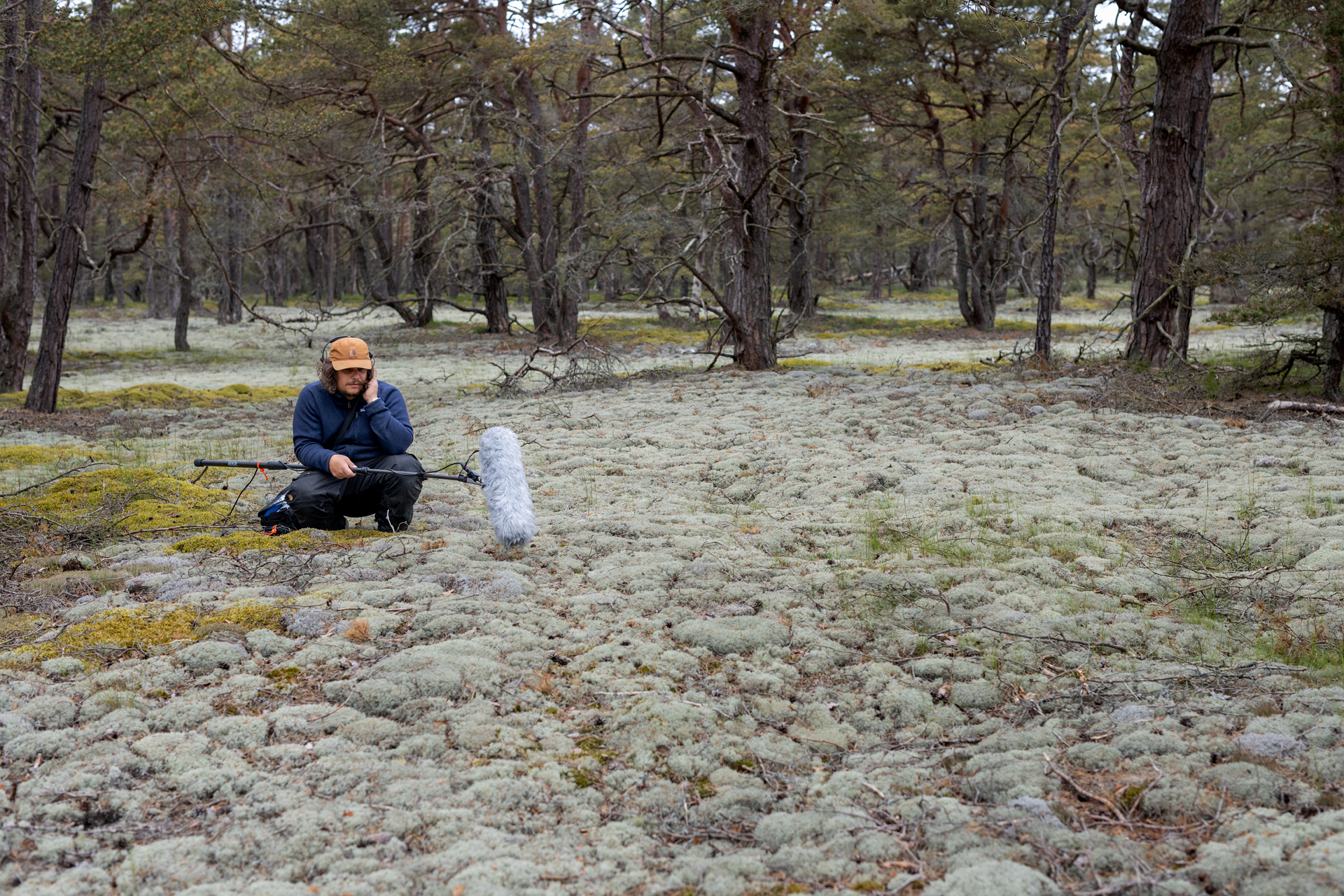 Sound technician recording moss in Friseboda