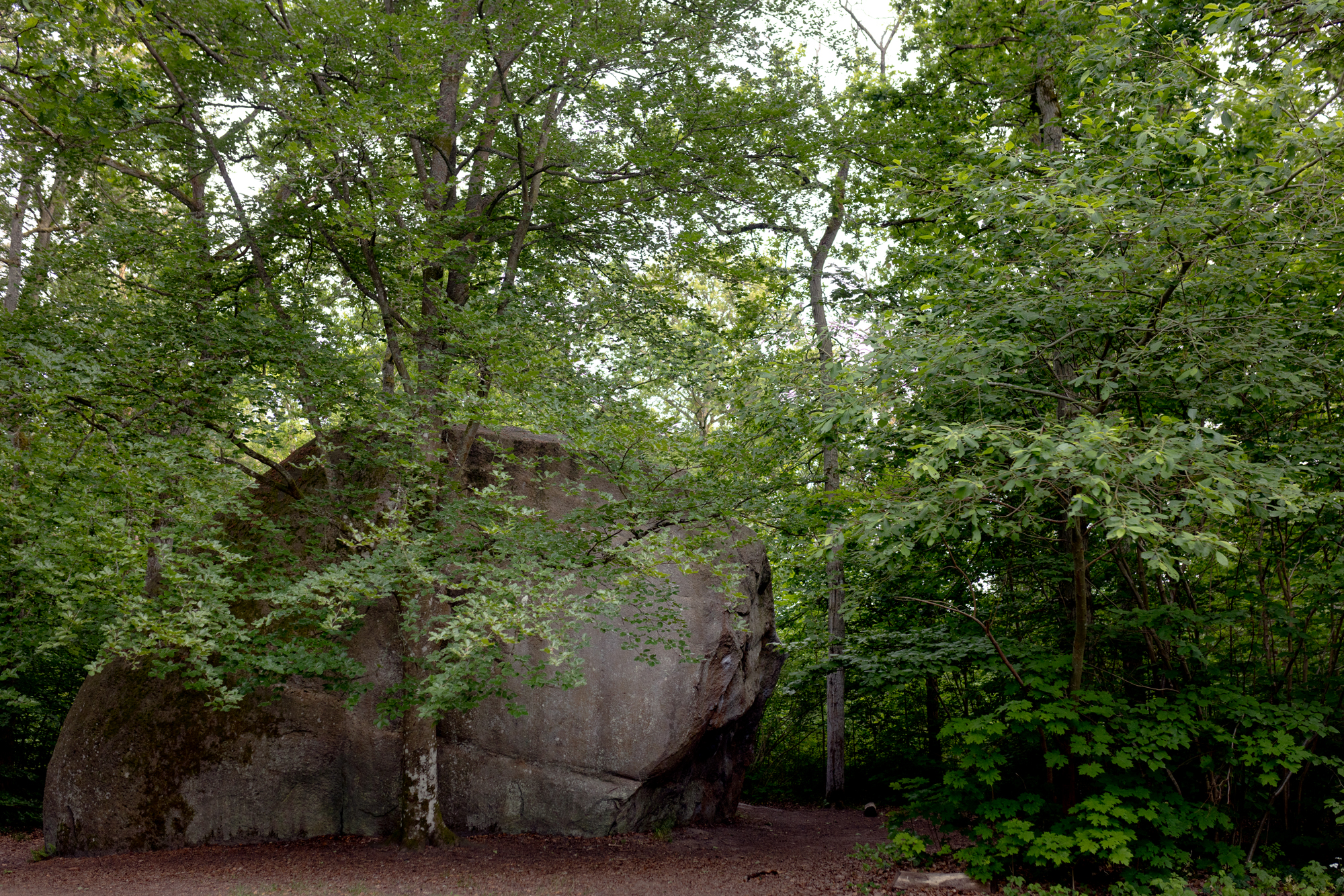 Big rock in Kjugekull Nature Reserve