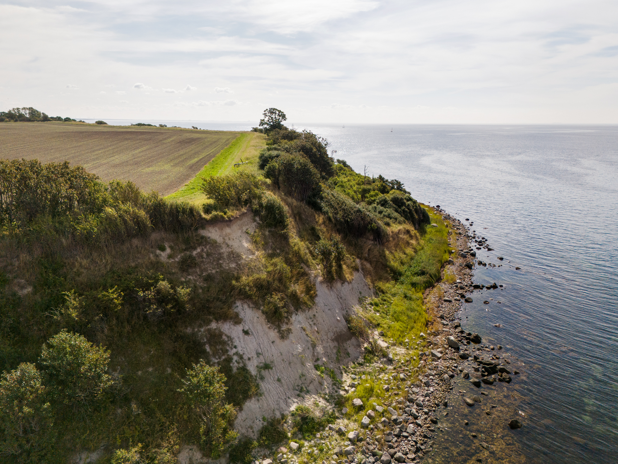 An aerial view of a grassy cliff area next to the sea