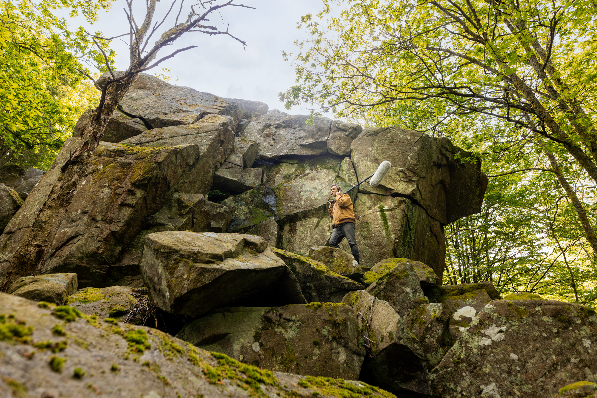 A person standing on a rock in the middle of a forest.
