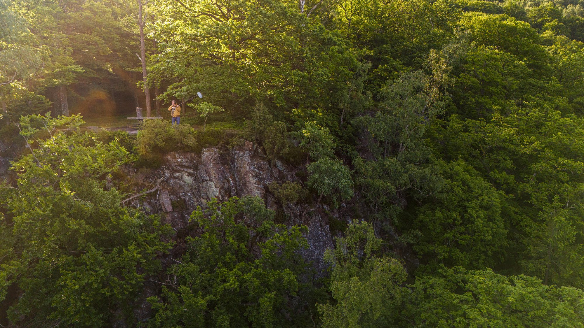 A person standing on top of a cliff surrounded by trees.
