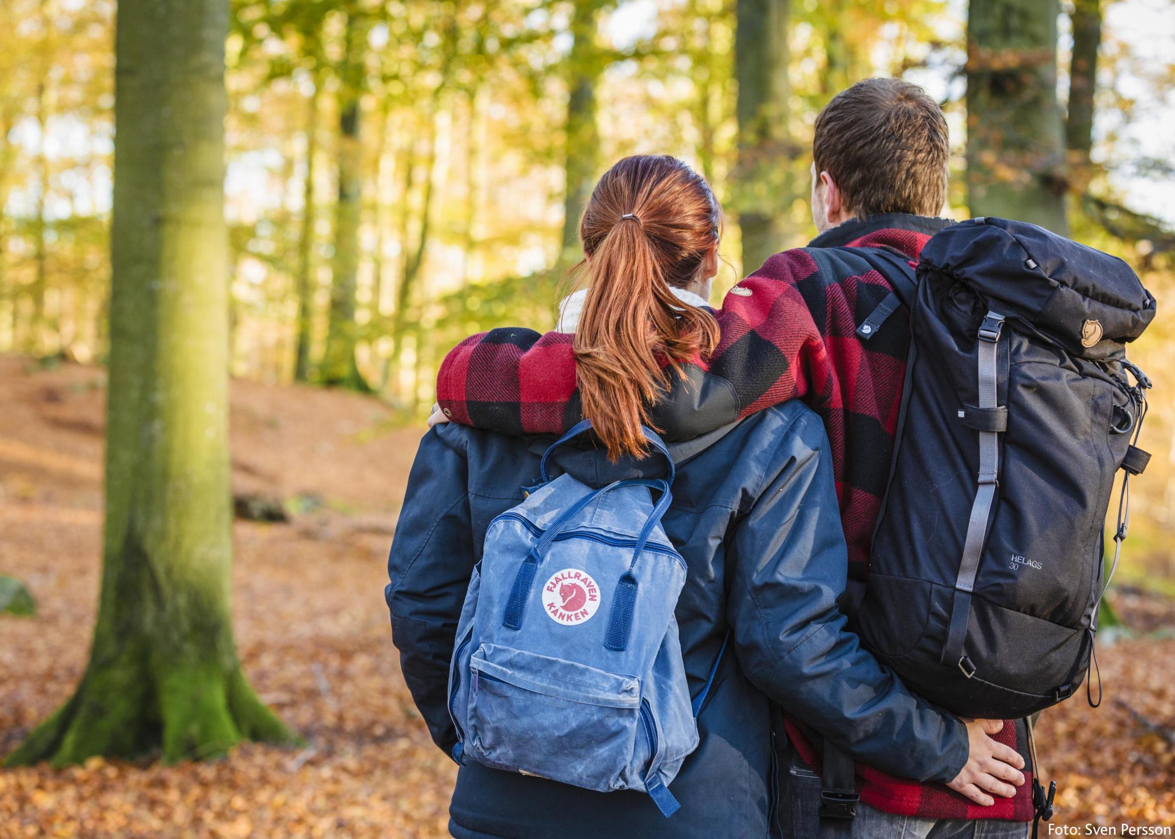 Couple hiking in Autumn in Söderåsen
