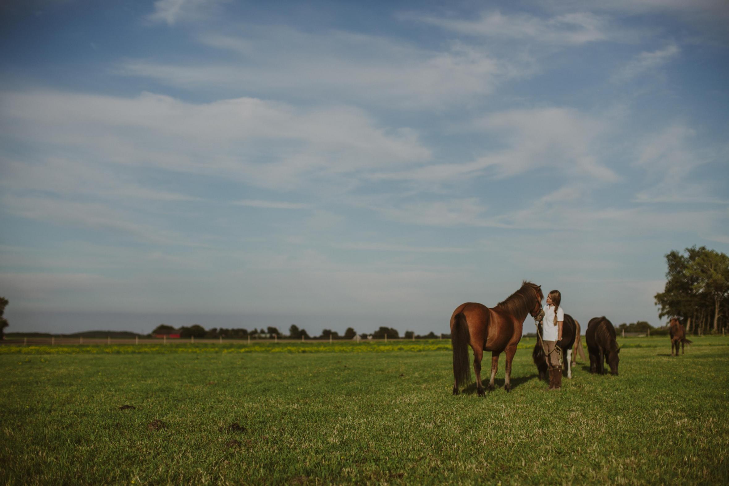 Young girl petting a horse on an open field on a summer's day
