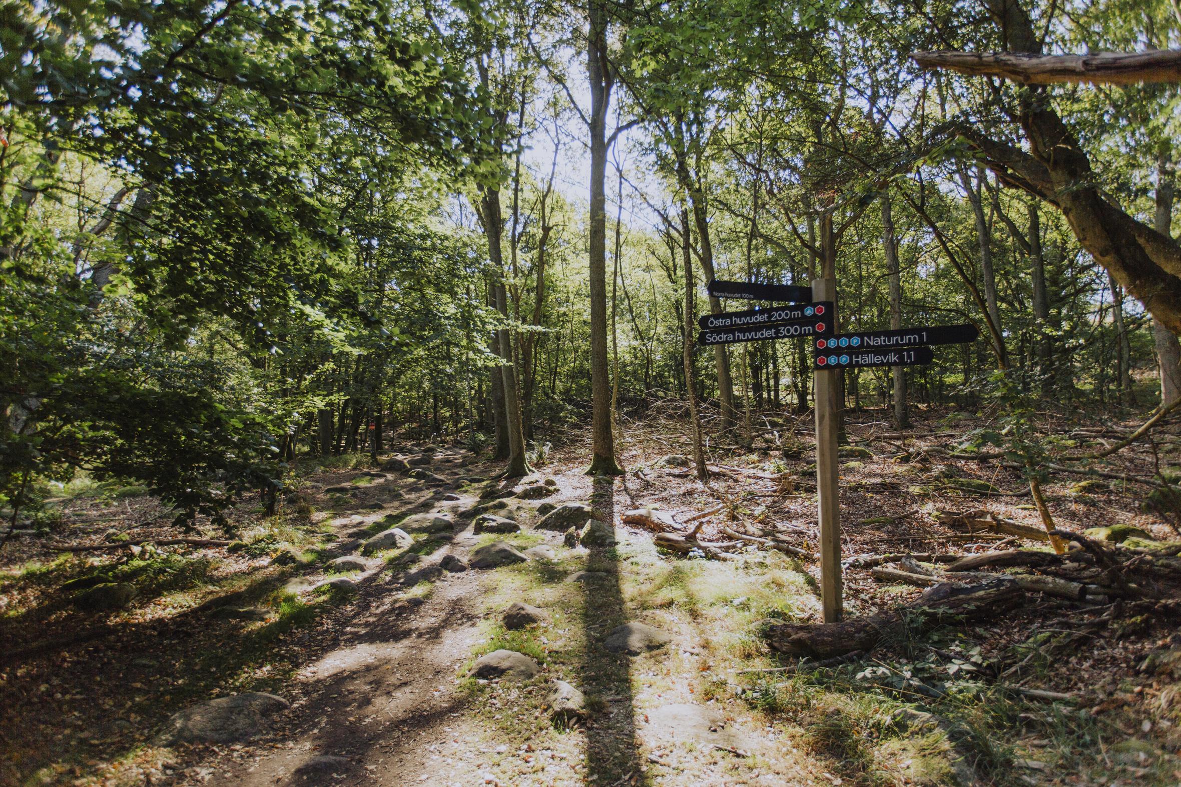 Direction post in a nature reserve