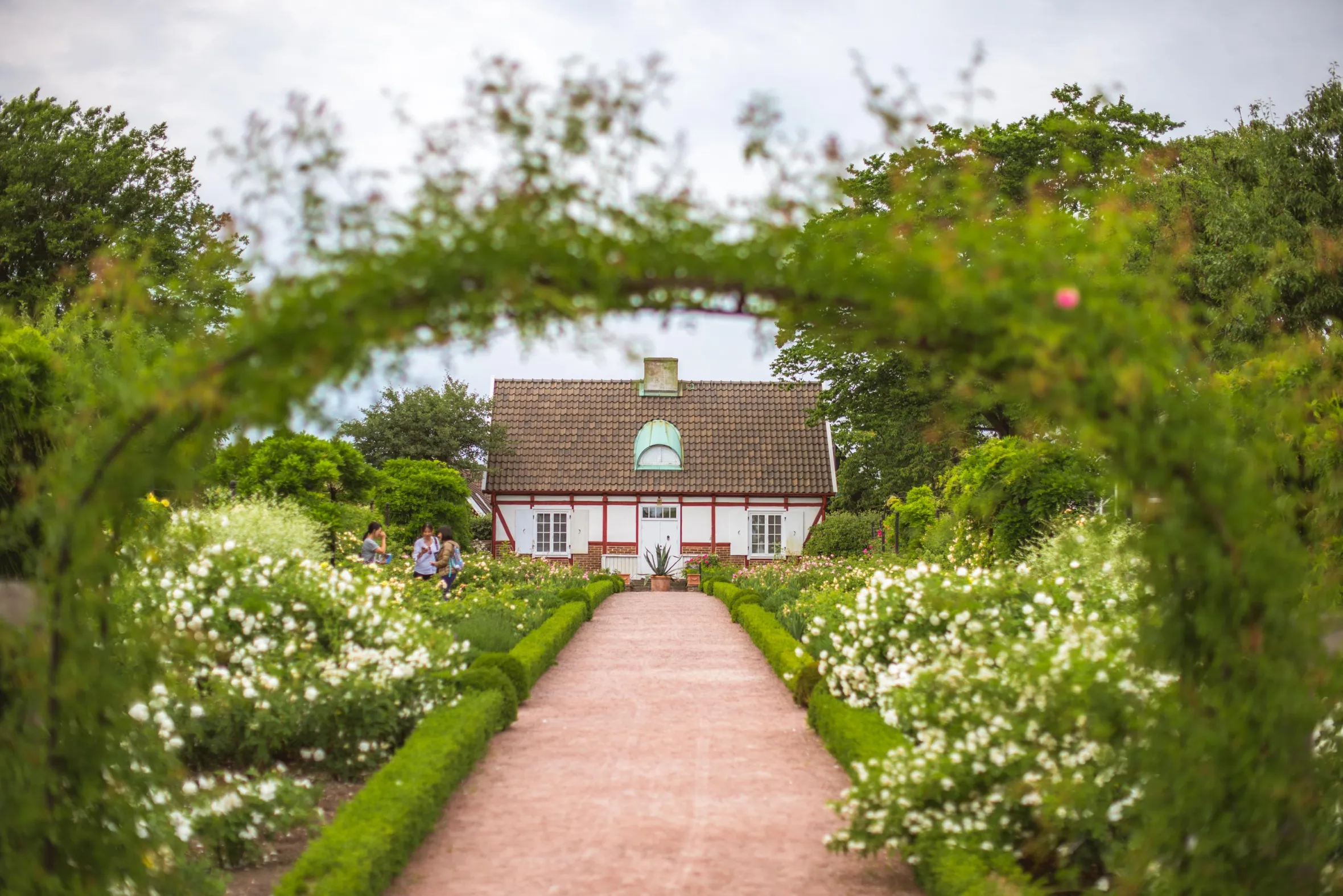 Gravel road leading to a traditional cottage with surrounding garden 