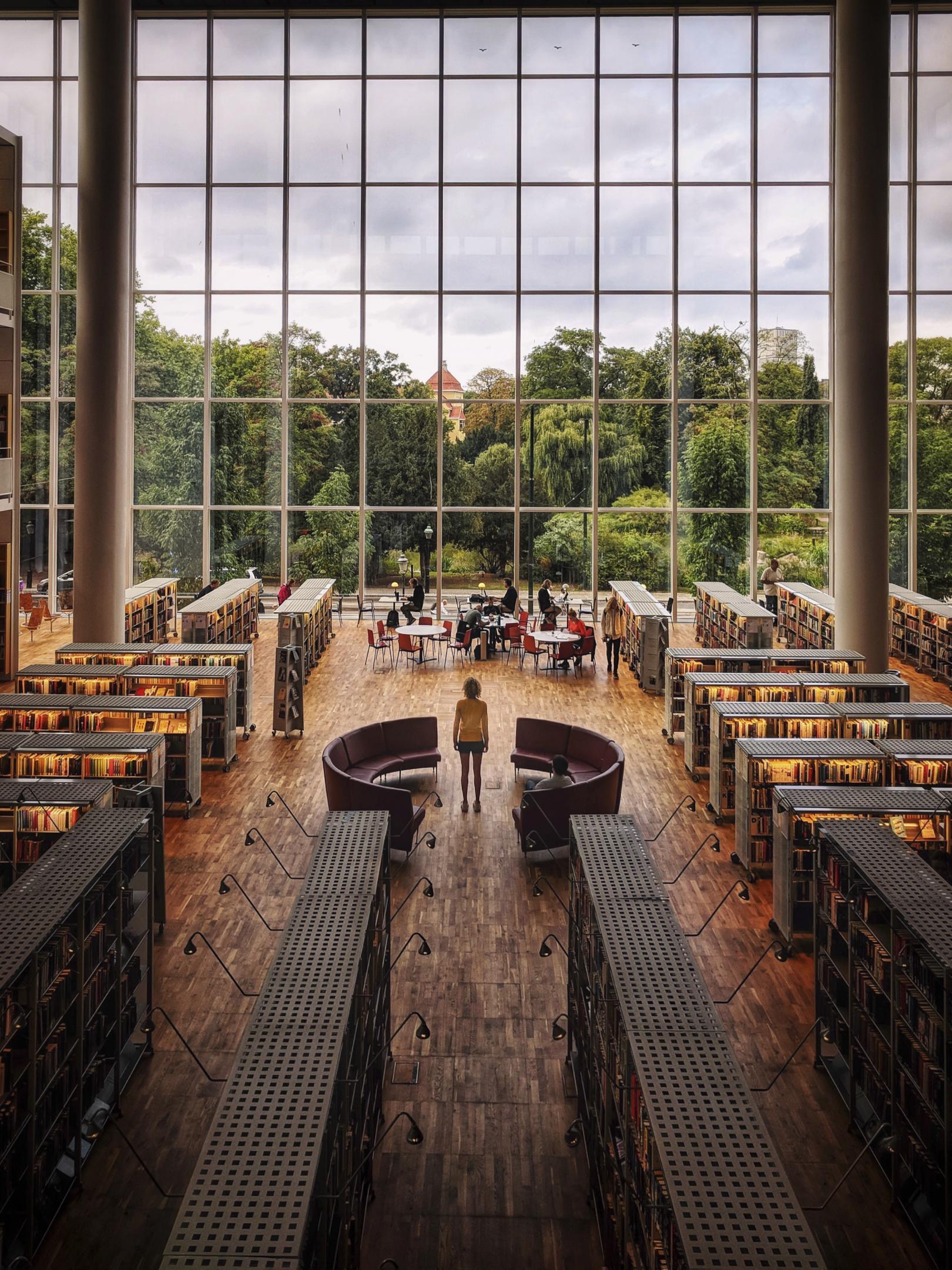 Utsikt över Kungsparken från insidan av Malmö stadsbibliotek