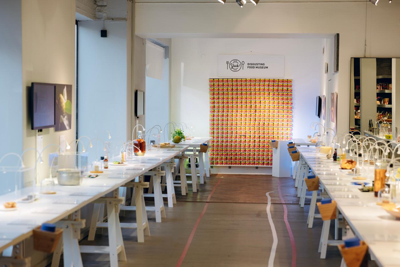 Bright museum space with objects displayed under small lamps on long white benches