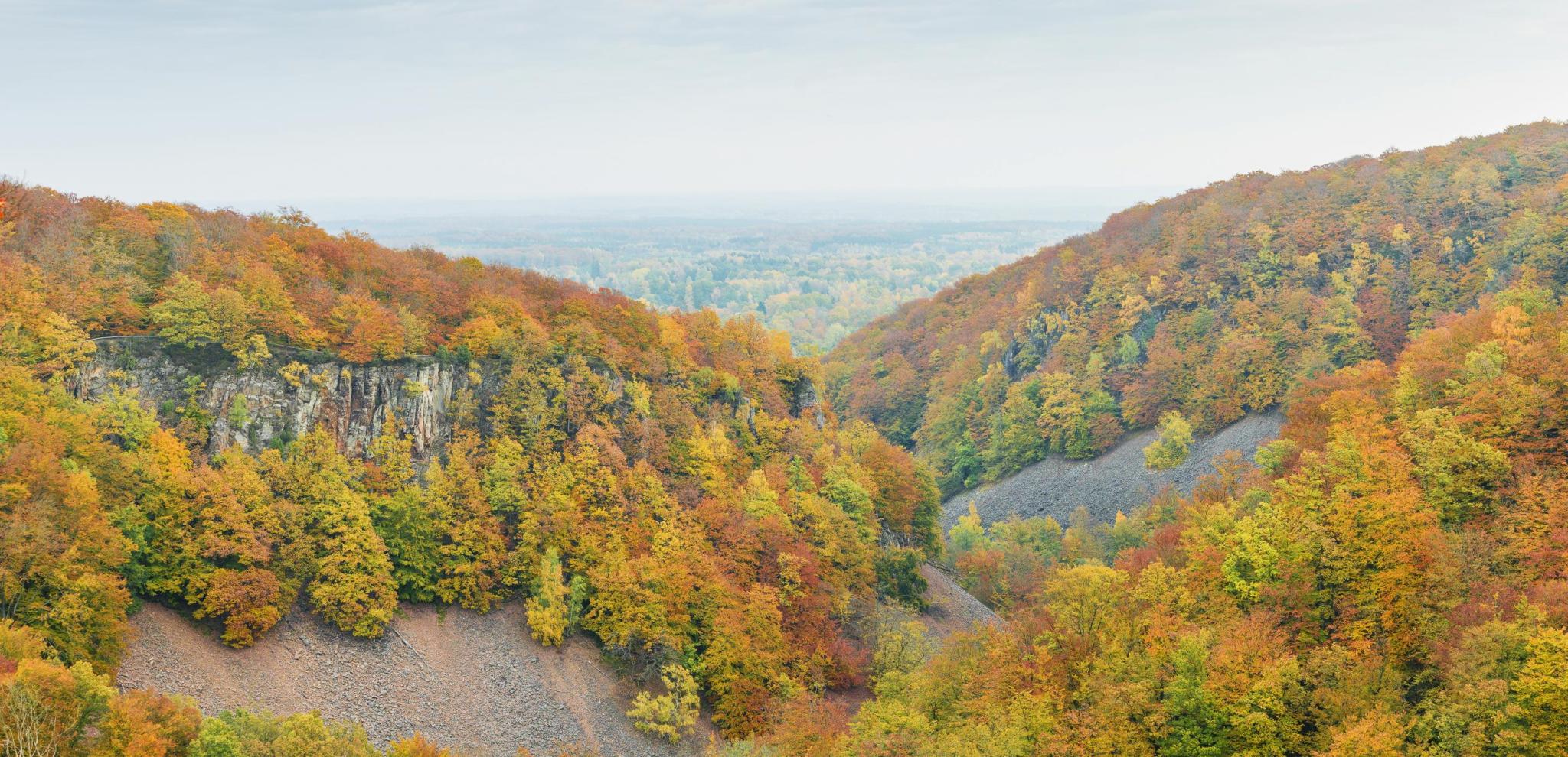 Kopparhatten ravine at Söderåsen National Park in autumn