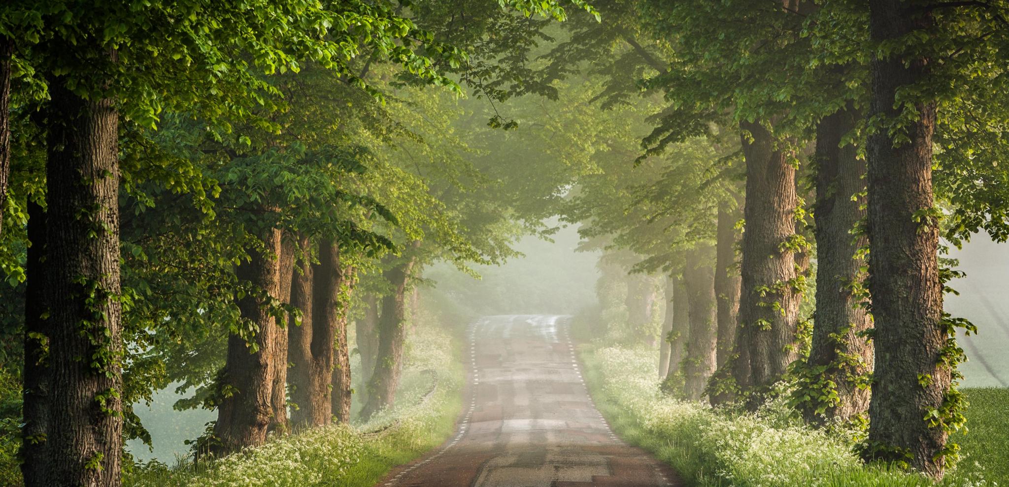 Straße durch die Fahrbahn