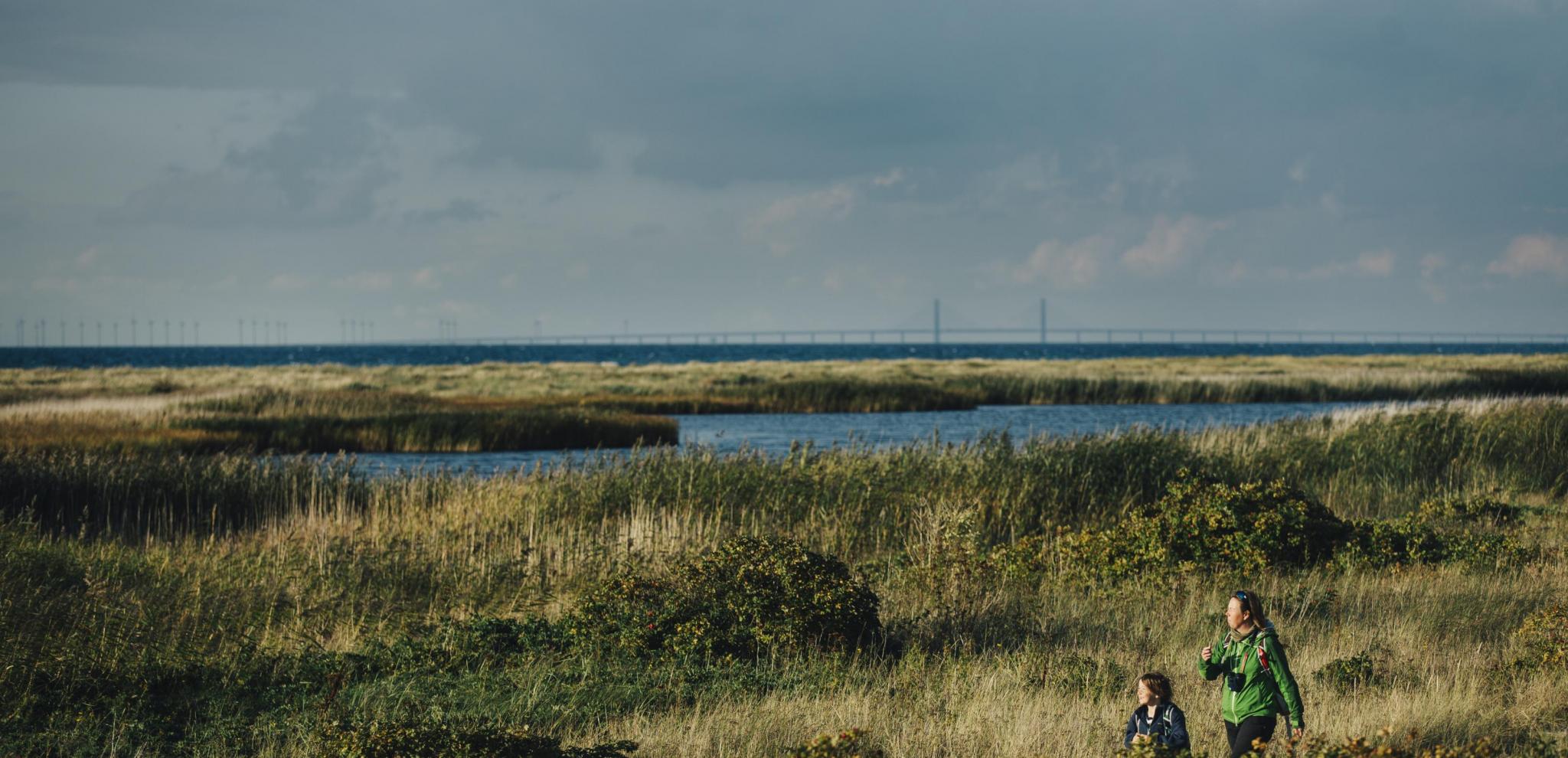 Mutter und Sohn wandern auf der Halbinsel Måkläppen über die Dünen und haben die Öresundbrücke im Hintergrund.