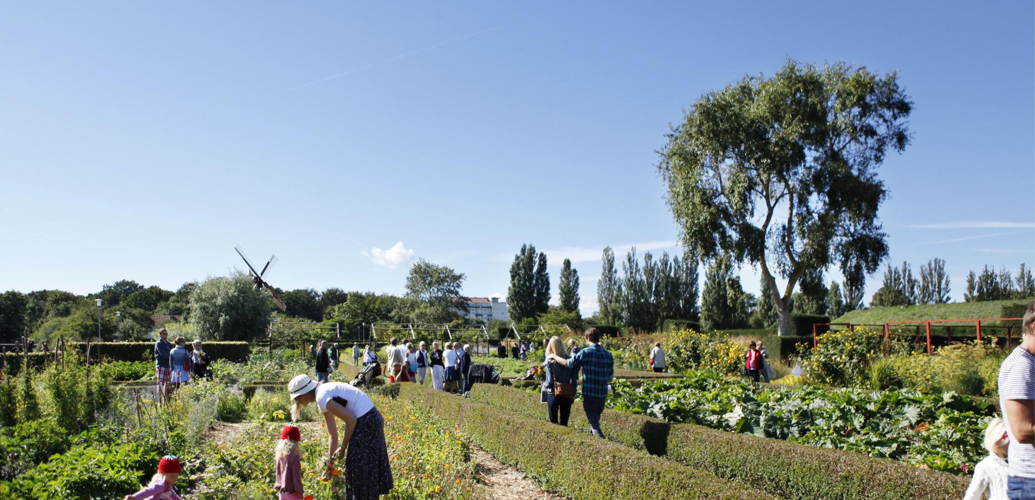 Garden in Slottsparken, Malmö © Oskar Falck