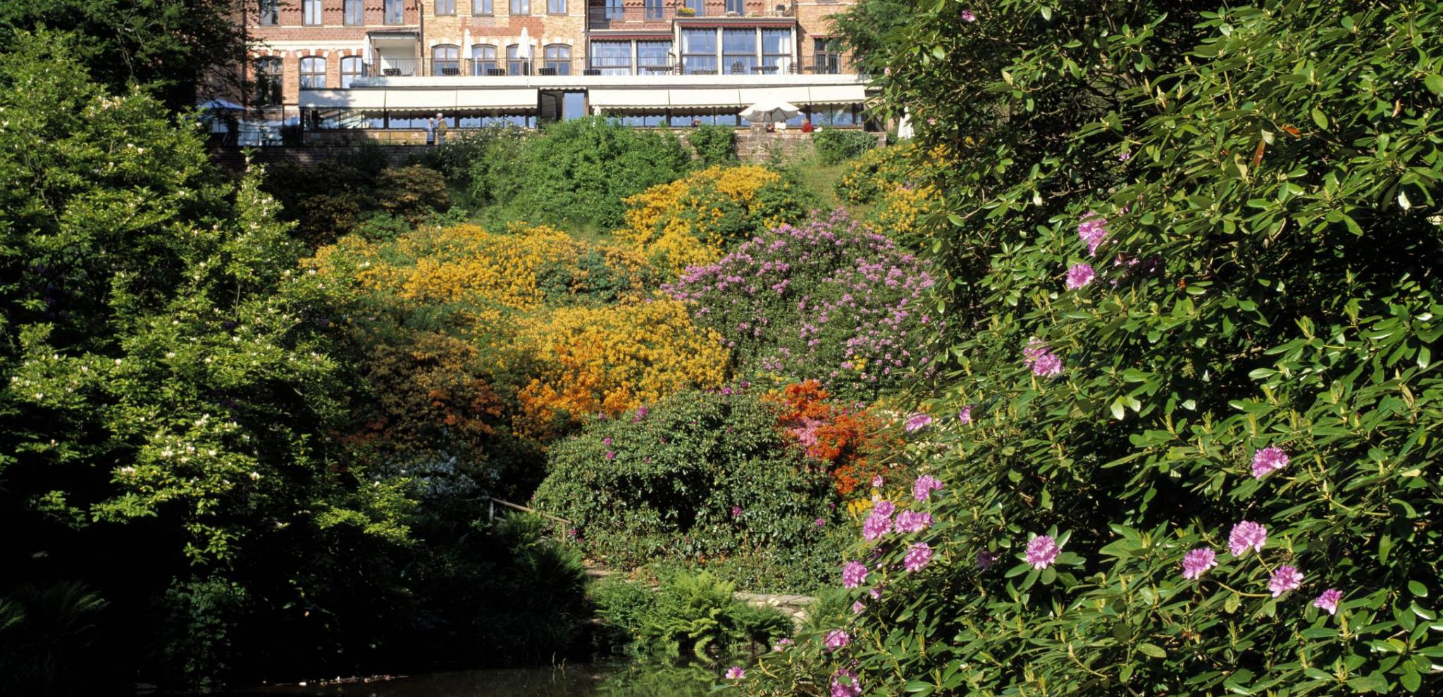 Castle in a garden © sydpol.com