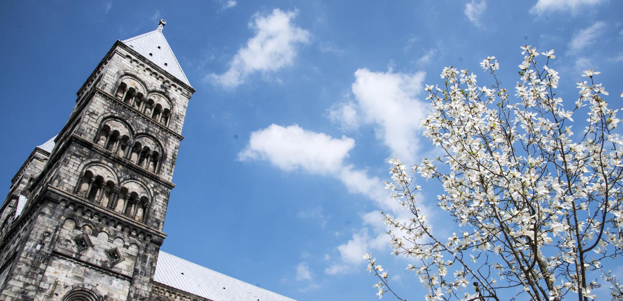 Lund cathedral in the summer