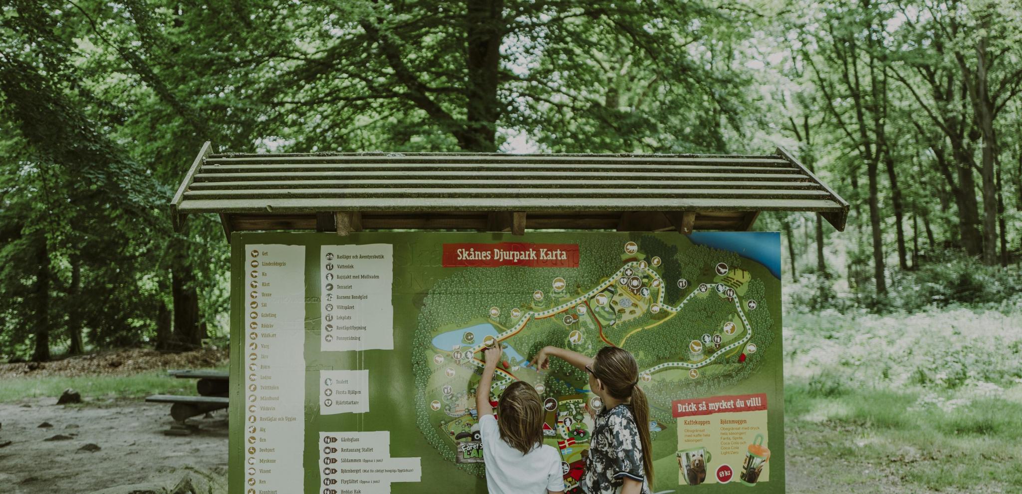 Zwei Kinder zeigen auf die Übersichtskarte des Zoos Skånes Djurpark.