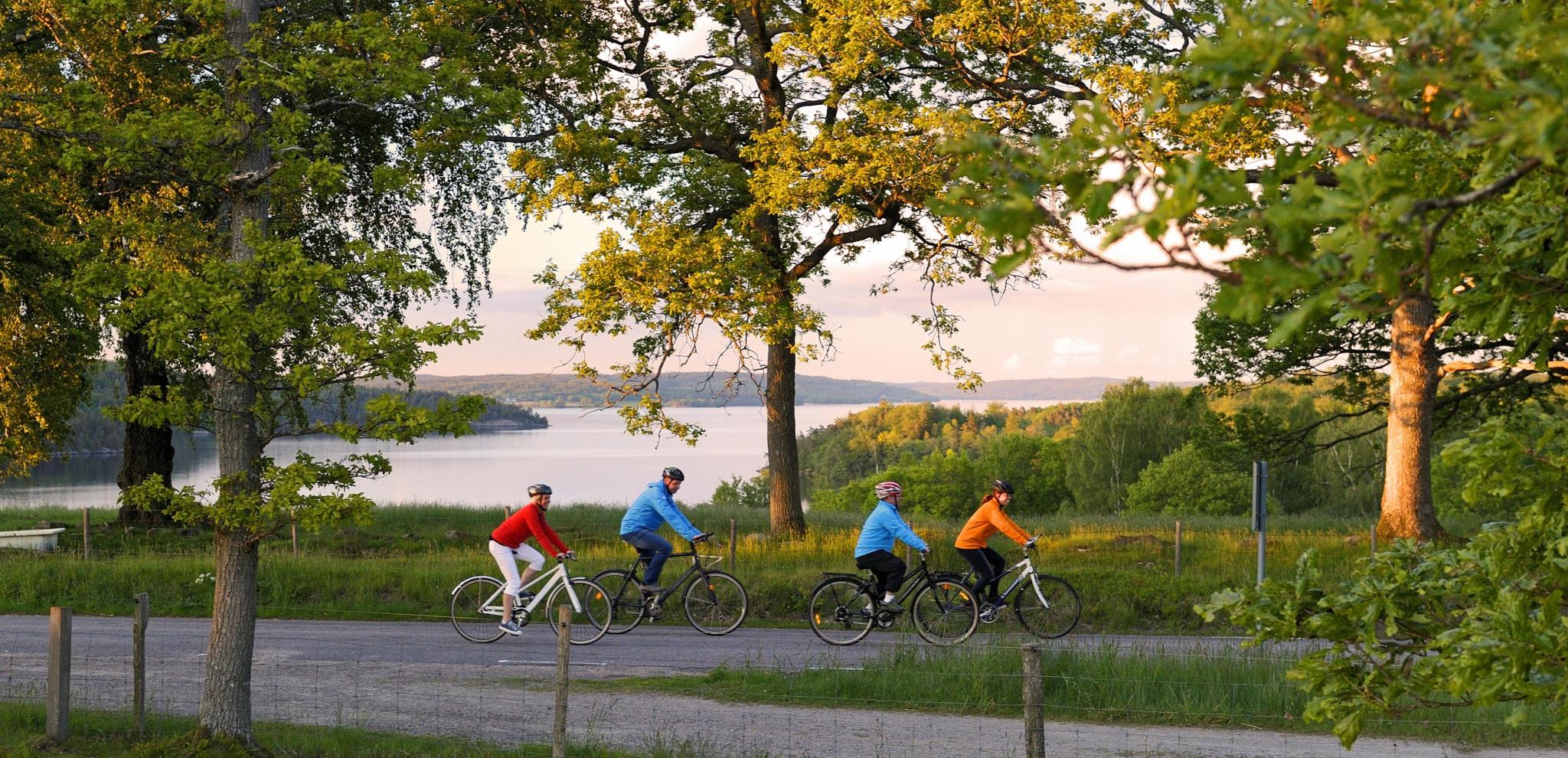 Cykling längs kusten vid Kattegattleden