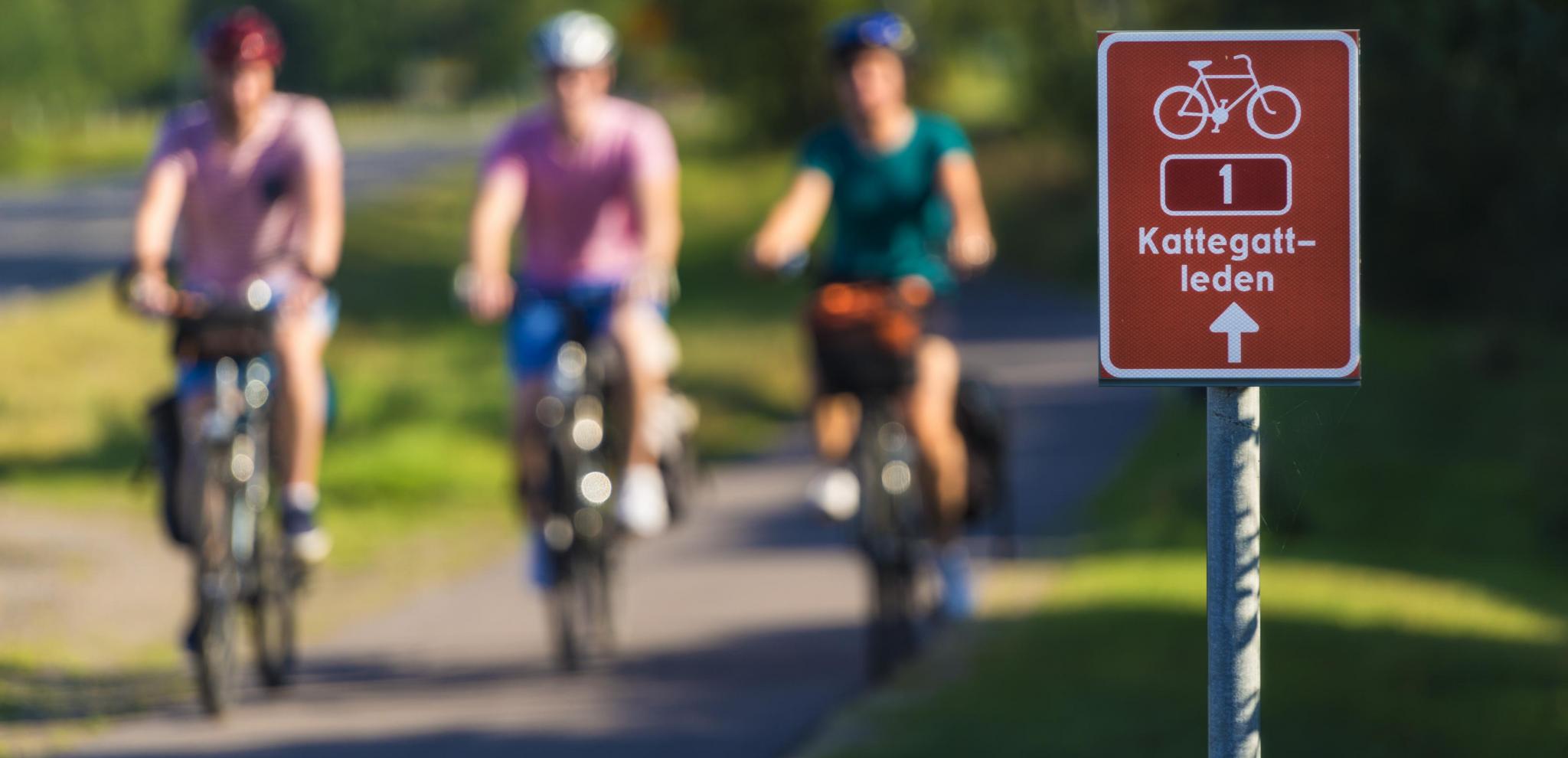 Följ de röda och vita skyltarna längs Kattegattleden