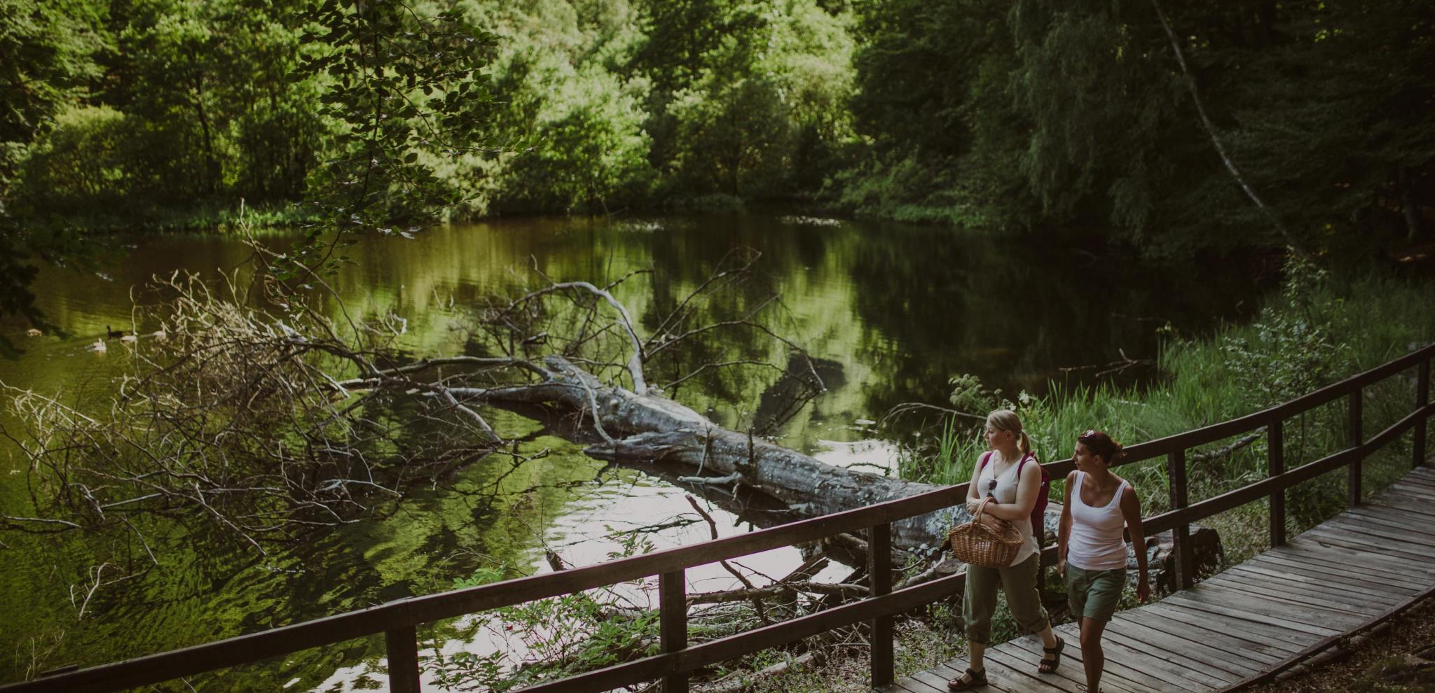 Women walking on bridge in a nature reserve