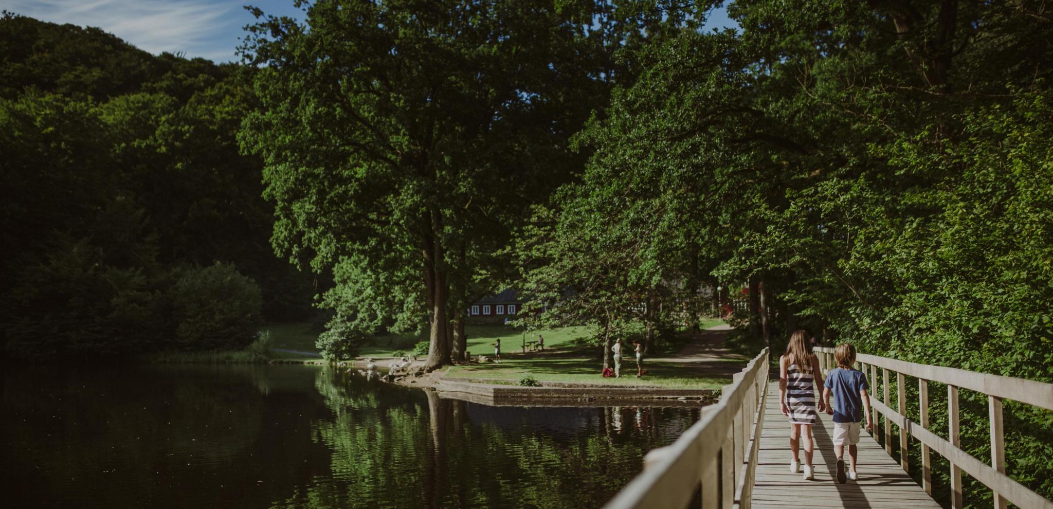 Two children crossing a wooden bridge towards the forest at Söderåsen national park
