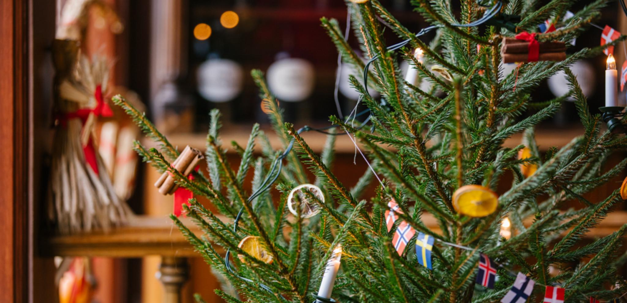 Close up of a christmas tree