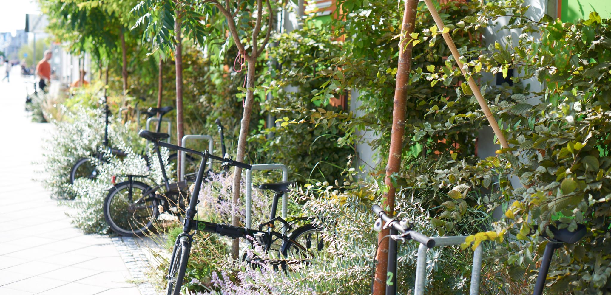 Parked bycicles next to green bushes