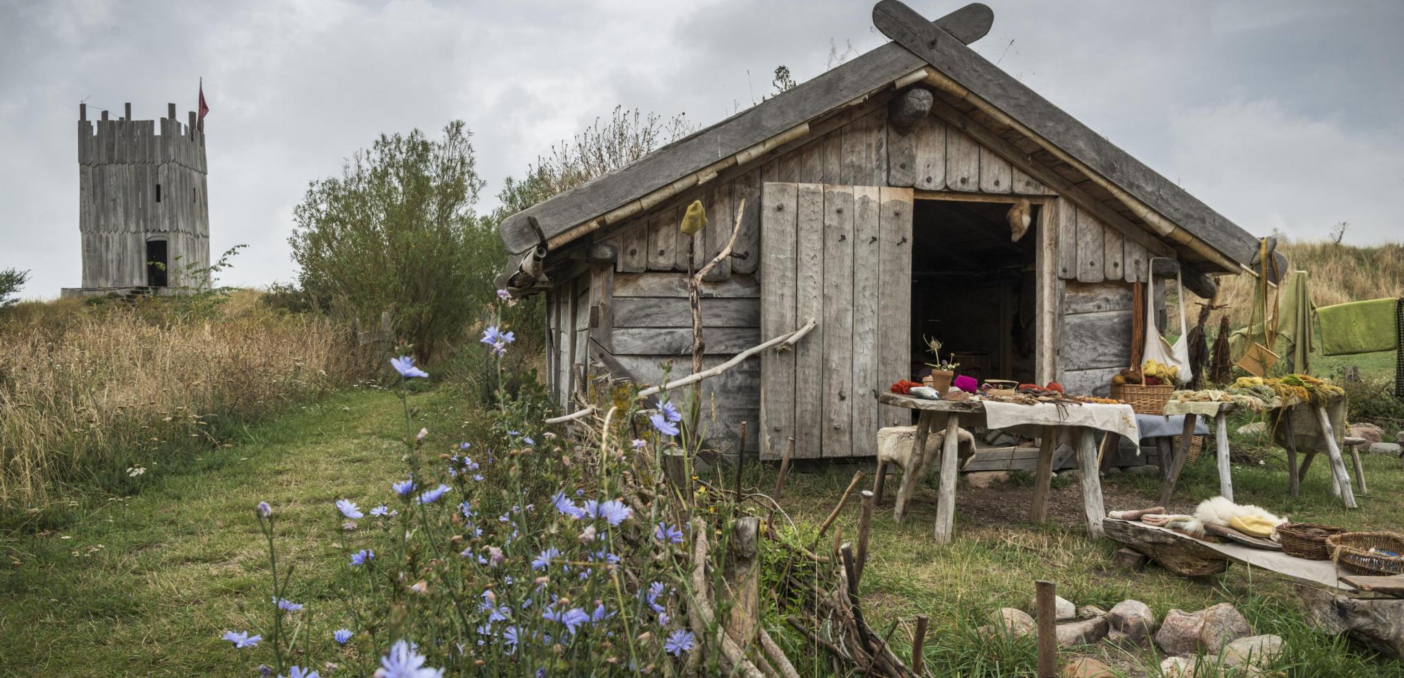 Ein nachgebautes Wikingerhaus vor einem hölzernen Wachturm.