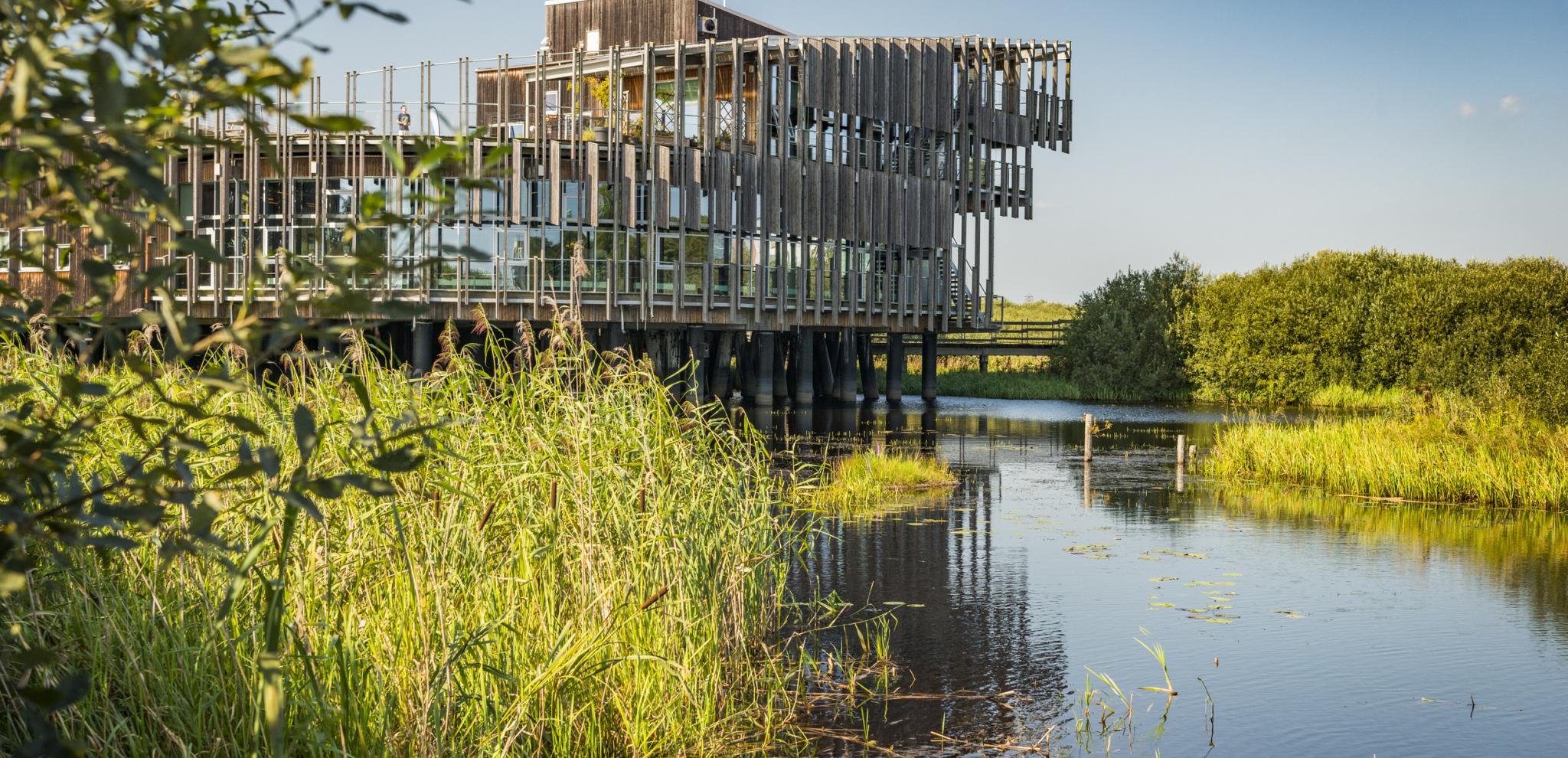A large building with glass sections close to a river with green surroundings