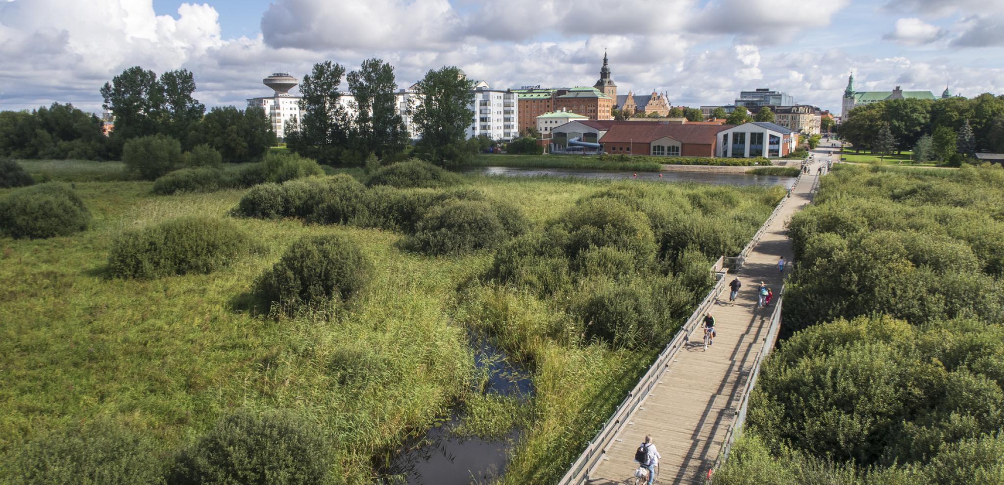 A bike and walkway surrounded by green 