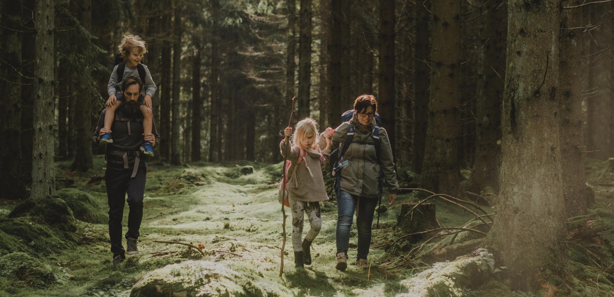 Familj med mamma pappa och två barn vandrar i mossig granskog