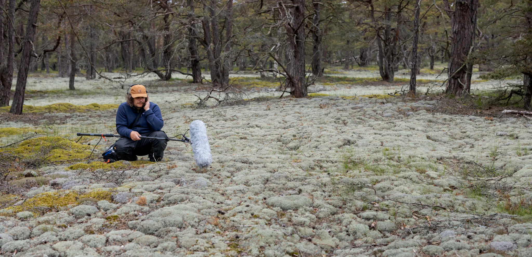 Sound technician recording moss in Friseboda