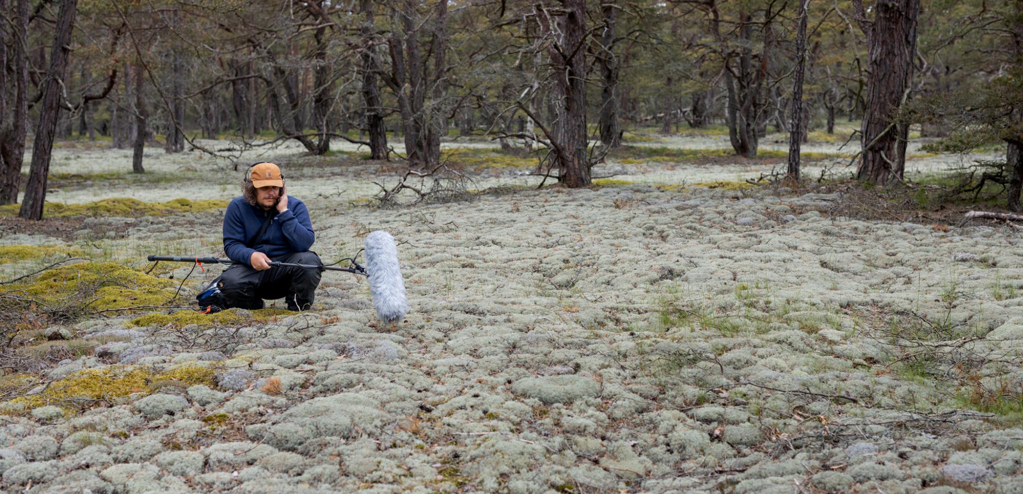 Sound technician recording moss in Friseboda