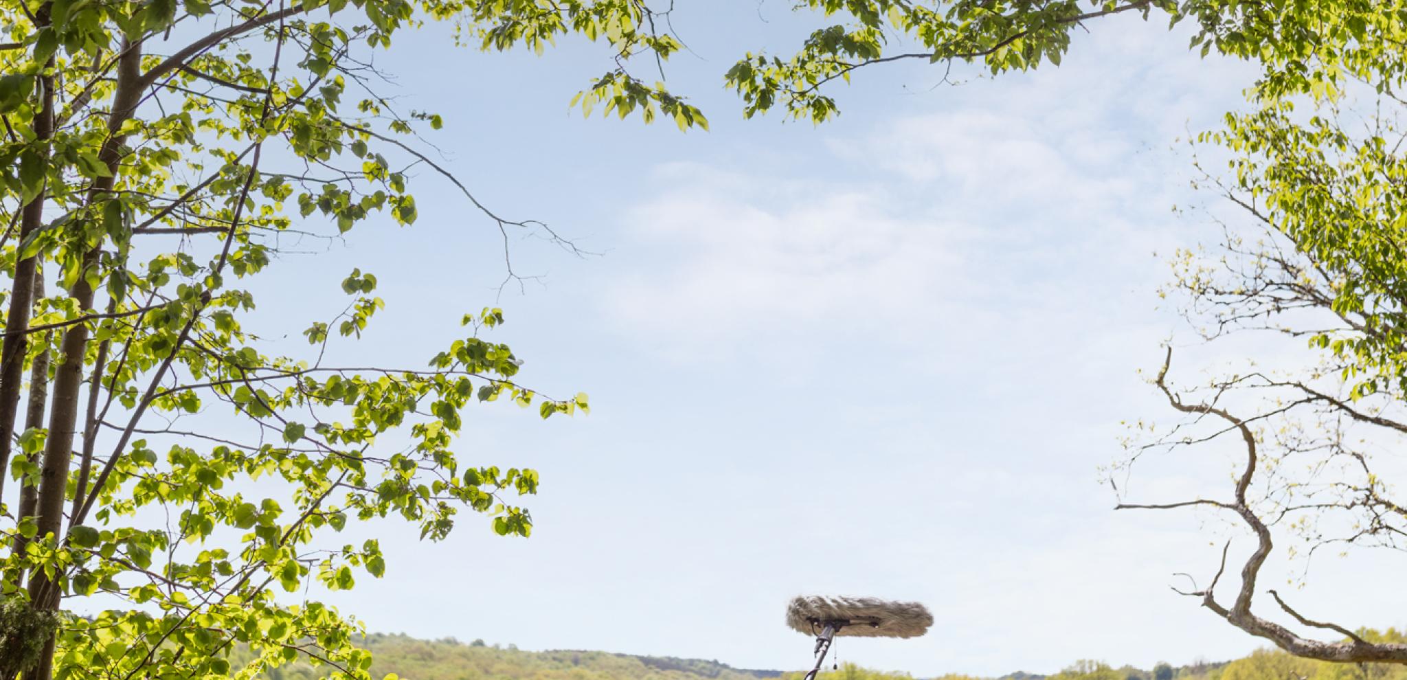 A man sitting on top of a rock next to a forest with view over river.
