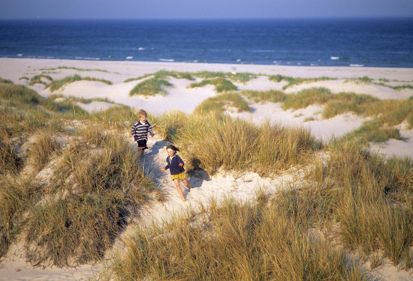 Barn som leker på sanddyner på en sommardag i Sandhammar