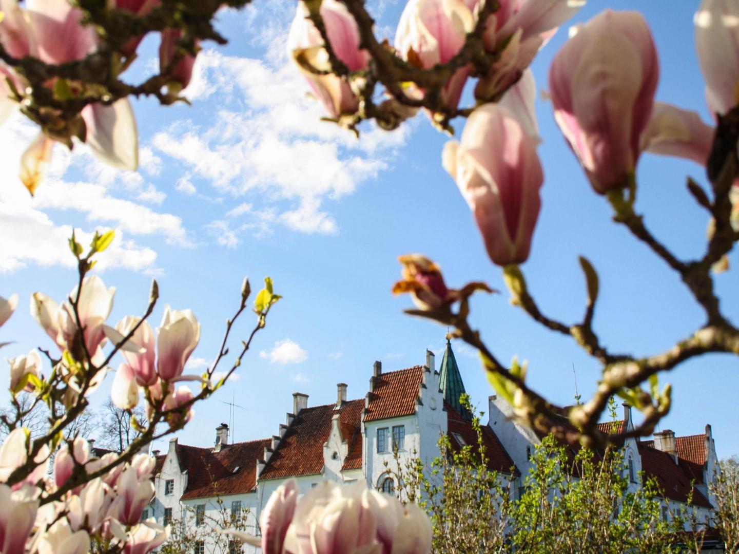Bosjökloster Castle