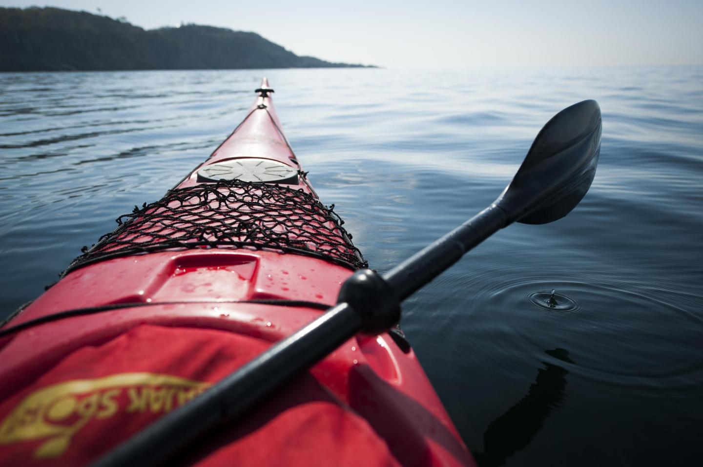 Paddling vid Kullaberg