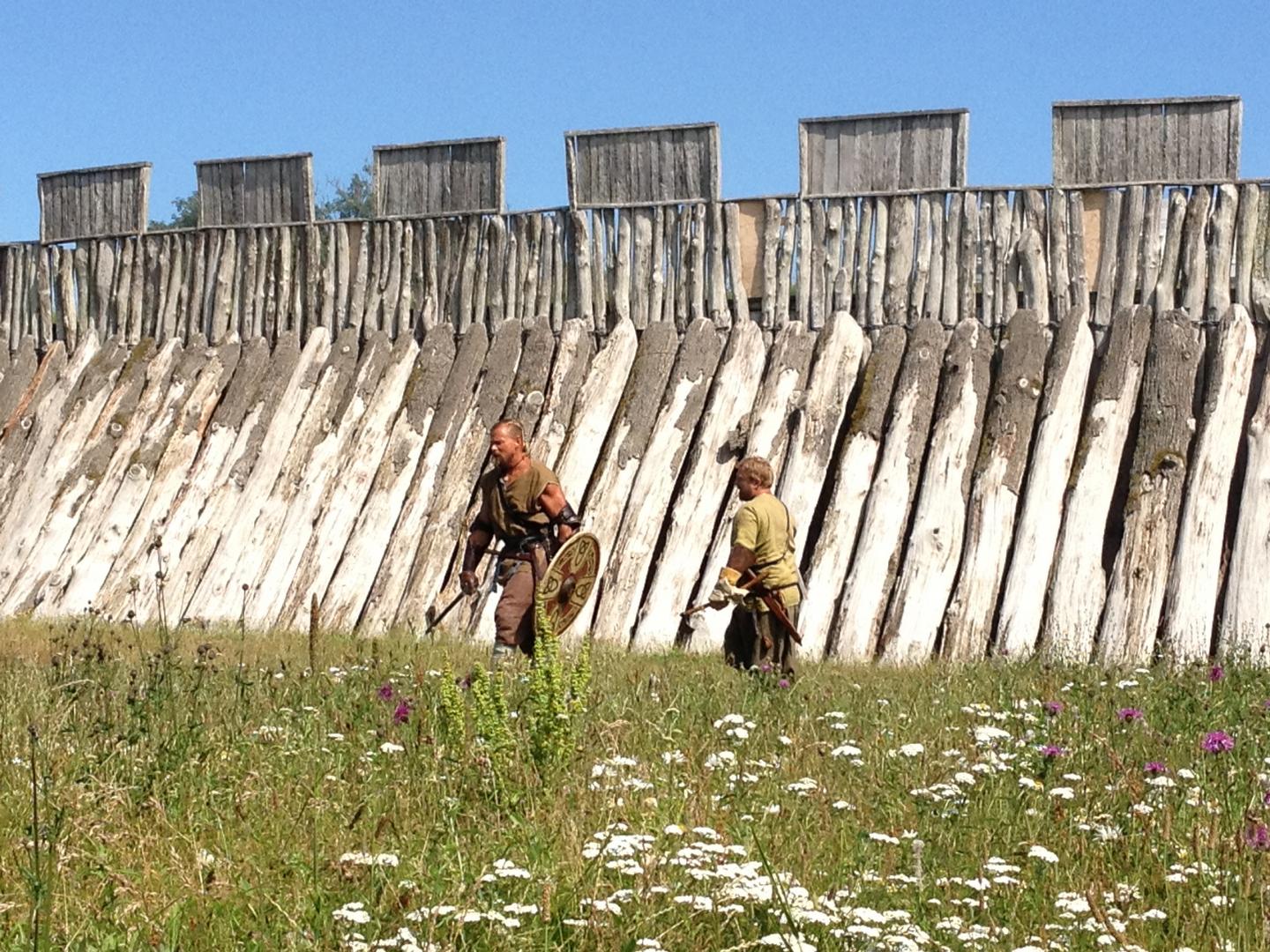Wikinger mit Schilden und Äxten vor der nachgebauten Holzfestung in Trelleborg.