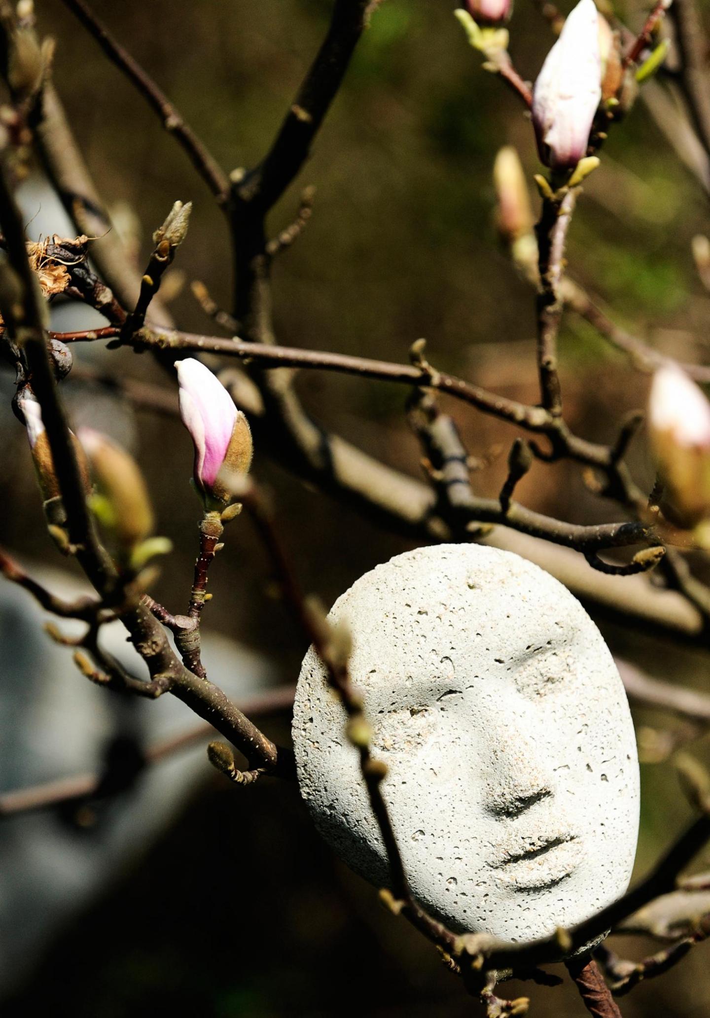 Träd med knoppar och konstverk