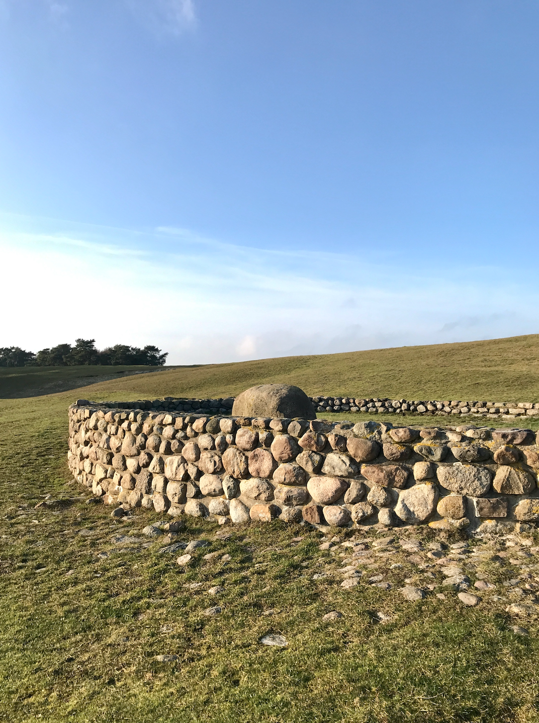 Eine geschwungene Steinmauer auf einem Feld in Backåkra