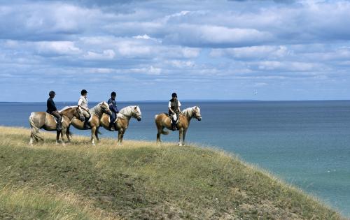 Vier Reiter zu Pferd auf einem Hügel mit Meerblick.