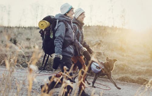 Spaziergang mit Hund