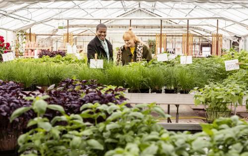 Tomatens hus farm shop © Apelöga