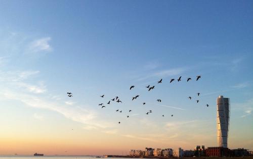 View of Turning Torso from Ribersborg beach at sunset