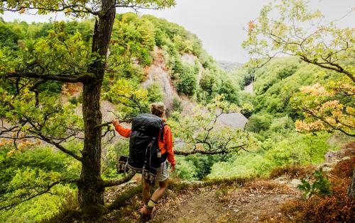 Ein Wanderer blickt auf eine Schlucht im Wald im Naturschutzgebiet Söderåsen