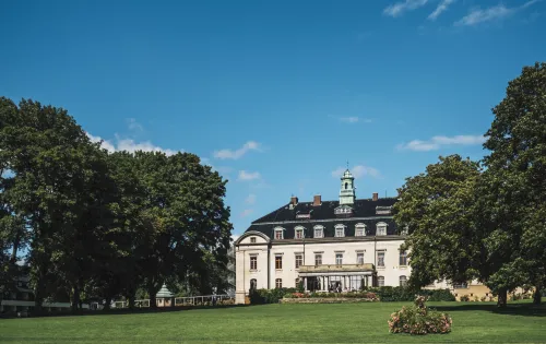 White castle with avenue of trees and a grass lawn 