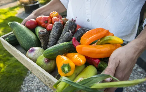 A tray with a mix of various vegetables 