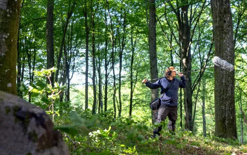 Sound technician in deep forest