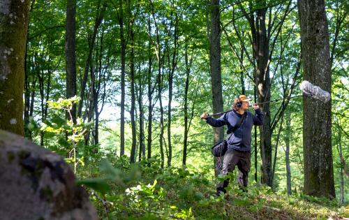 Sound technician in deep forest
