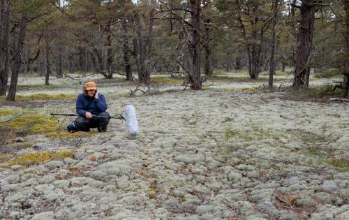 Sound technician recording moss in Friseboda